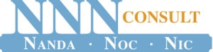 nnn consult logo