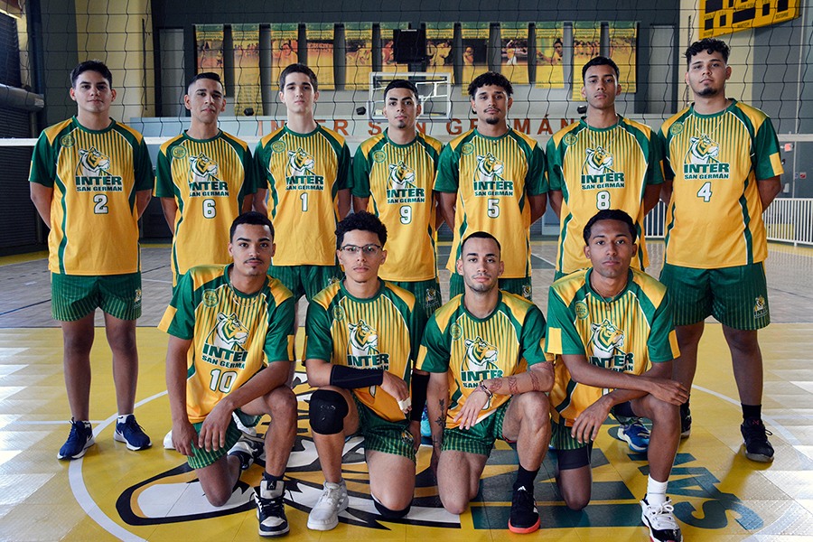 equipo voleibol masculino