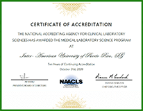 Certificado Imagen